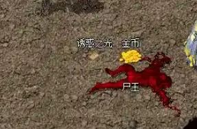 中变传奇私发服网挑服避坑指南：我用「补丁更新频率」筛掉了九成快餐服